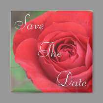 Red Beauty magnets by sharpcreations Red Beauty magnets