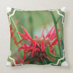 Red Bee Balm  Pillow
