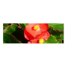 Red Begonias Bookmark Business Cards
