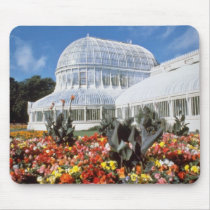 Red Belfast, Palm House, Botanical Gardens, Irelan mousepads