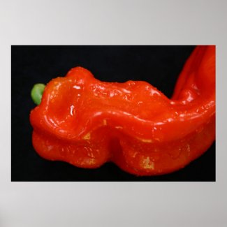 Red Bell Pepper print