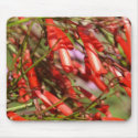 red bell-shaped flowers mousepads