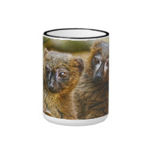 Red bellied lemurs mug