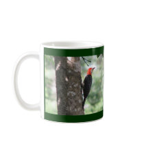 Red-bellied Males Mug