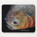 Red-bellied piranha mousepads by jdmphotography Red-bellied piranha mousepads
