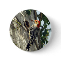 Red-bellied Woodpecker buttons