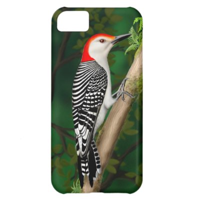 Red Bellied Woodpecker iPhone Extreme Tough Case iPhone 5C Covers