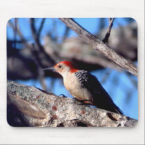 Red-bellied Woodpecker mousepads