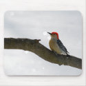 Red-Bellied Woodpecker Mousepad
