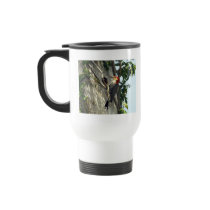 Red-bellied Woodpecker Mug