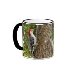 Red Bellied Woodpecker Mug