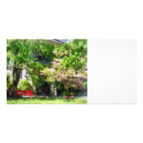 Red Bench by Pink Tree photo cards