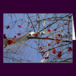 Red Berries