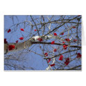Red Berries cards