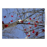 Red Berries cards