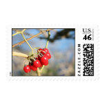 Red Berries Postage