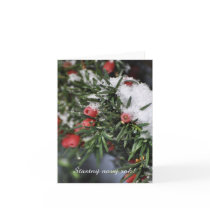 Red berries snow Czech New Year Card