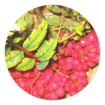 Red Berries stickers by TravellingSue Red Berries stickers