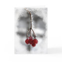 Red Berry Christmas Birthday cards by loraseverson Red Berry Christmas Birthday cards