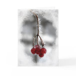 Red Berry Christmas Birthday