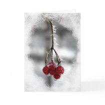 Red Berry Christmas Birthday cards