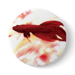 Red Betta Fish Pinback Buttons