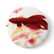 Red Betta Fish Pinback Buttons