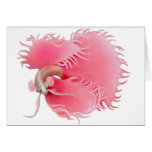 Red Betta Splendens Fish Card