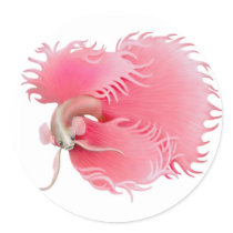 Red Betta Splendens Fish Sticker