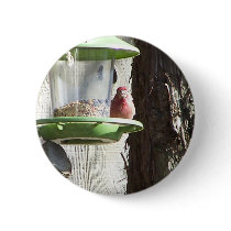 red bird pinback button