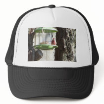 red bird mesh hats
