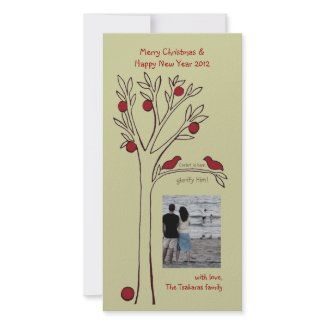 Red Bird II photocard