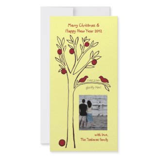 Red Bird III photocard