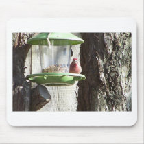 red bird mouse pads