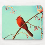 Red Bird Mousepad