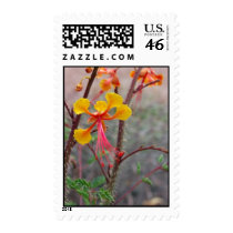 Red Bird of Paradise postage by Moon_Marketplace Red Bird of Paradise postage