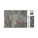 red bird postage