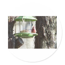 red bird round stickers