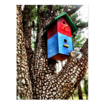 Red Birdhouse in Alligator Juniper Tree Postcard