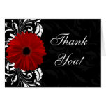Red, Black and White Scroll Gerbera Daisy cards