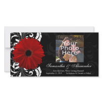 Red, Black and White Scroll Gerbera Daisy Photo Cards