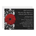 Red, Black and White Scroll Gerbera Daisy Wedding Custom Announcements