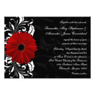 Red, Black and White Scroll Gerbera Daisy Wedding Custom Announcements