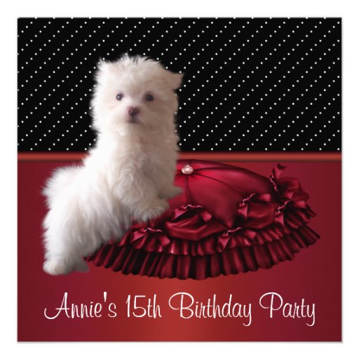 Red Black Dot Puppy 15th Birthday Invitation