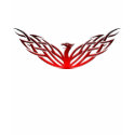 Red & Black Tribal Phoenix T-Shirt