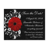 Red+Black+White Gerbera Daisy Save the Date Post Card