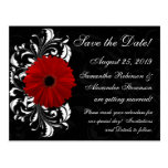 Red+Black+White Gerbera Daisy Save the Date postcards