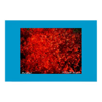 Red Blast posters