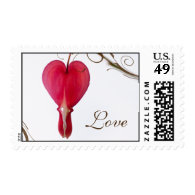 Red Bleeding Heart Love Wedding Postage Stamps