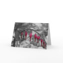 Red Bleeding Hearts Card